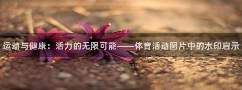xc体育