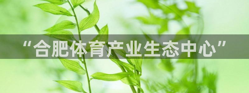 xc体育app官方网站