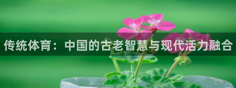 xc体育app官方网站