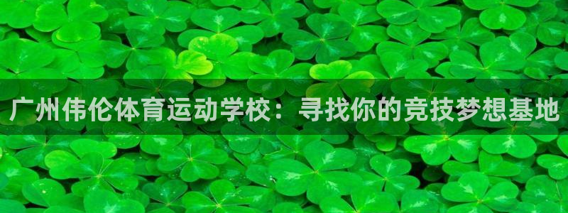 xc体育app官方网站