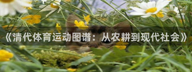 xc体育app官方网站