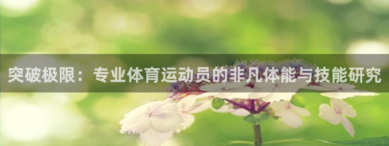 xc体育