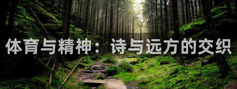 xc体育