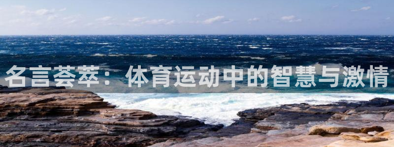 xc体育app官方网站