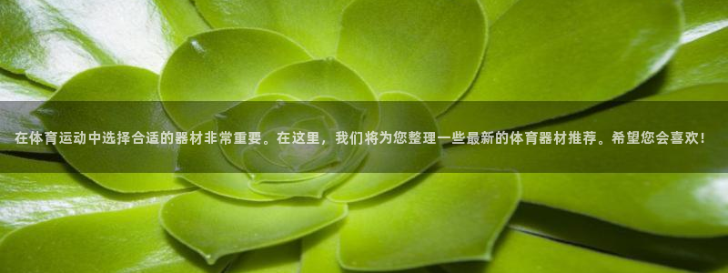 xc体育app官方网站