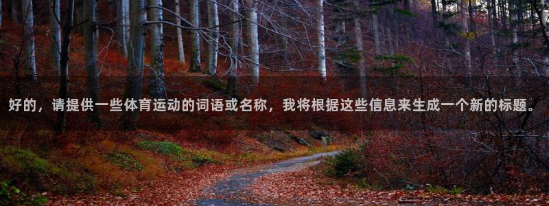 xc体育app官方网站