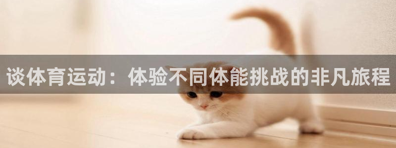 xc体育