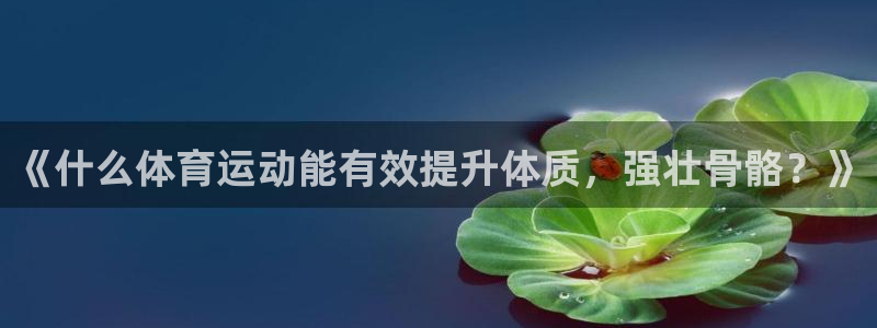 xc体育