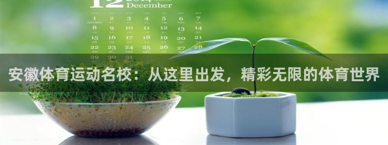 xc体育app官方网站